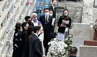 利智何鸿燊 利智何鸿燊